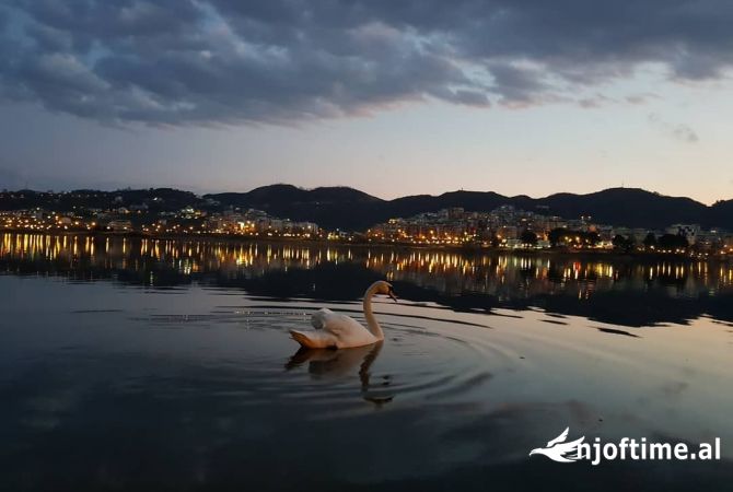 Shtepi ne shitje 2+1 ne Tirane - 192,000 Euro