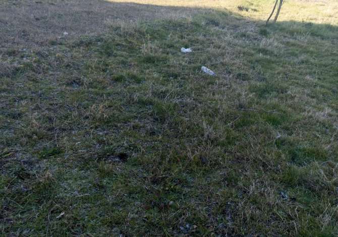 Truall ose Toke ne Tirane - 110,000 Euro