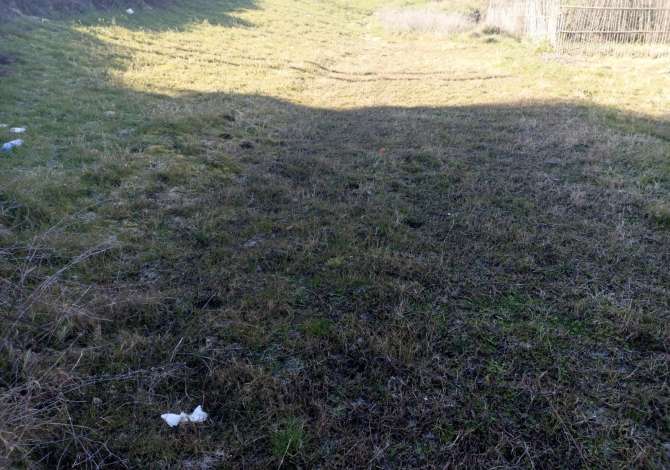 Truall ose Toke ne Tirane - 110,000 Euro