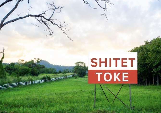 Truall ose Toke ne Tirane - 170,000 Euro