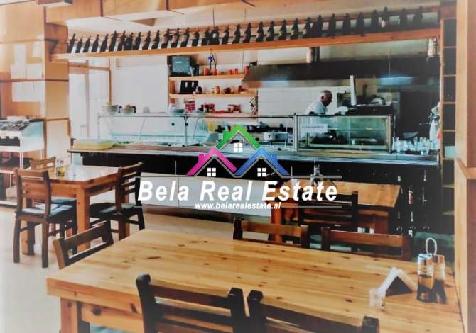 Ambient biznesi me qera 1+1 ne Tirane - 500 Euro