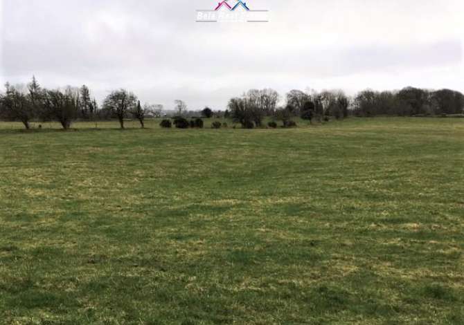 Truall ose Toke ne Tirane - 235,000 Euro