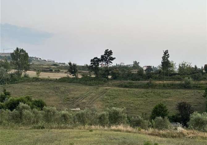 Truall ose Toke ne Tirane - 203,000 Euro