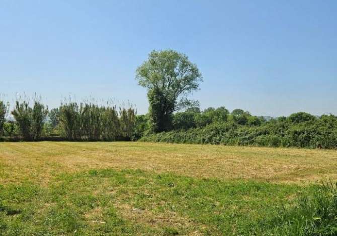 Truall ose Toke ne Tirane - 144,000 Euro