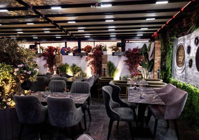 Ambient biznesi me qera 1+1 ne Tirane - 3,800 Euro