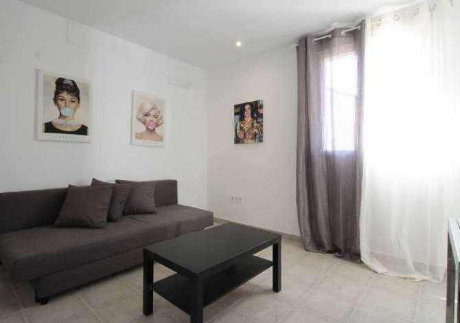 Shtepi me qera 1+1 ne Tirane - 700 Euro