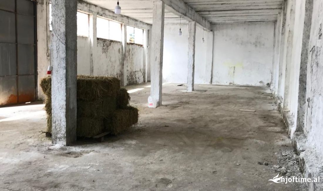 Foto 1