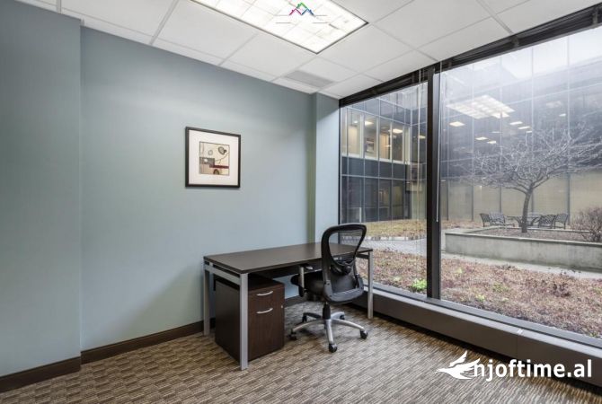 Ambient biznesi me qera 3+1 ne Tirane - 600 Euro