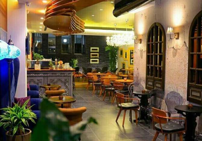 Ambient biznesi me qera 2+1 ne Tirane - 1,100 Euro