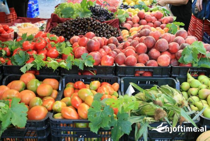 Ambient biznesi me qera 1+1 ne Tirane - 700 Euro