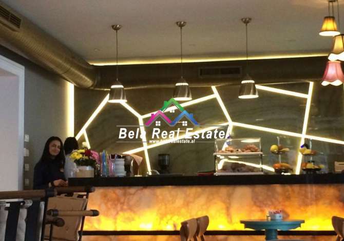 Ambient biznesi me qera 1+1 ne Tirane - 3,000 Euro