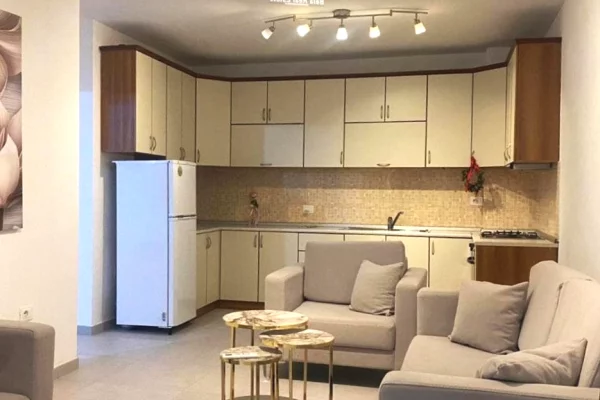 Ambient biznesi me qera 3+1 ne Tirane - 600 Euro