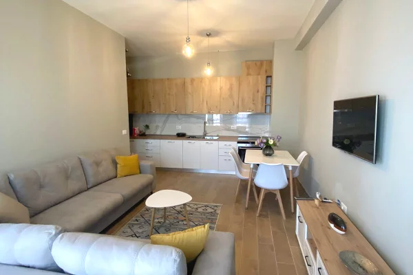 Shtepi me qera Apartament ne Tirane, 1+1, Mobilimi E mobiluar, Pagesa 65,000  Leke.