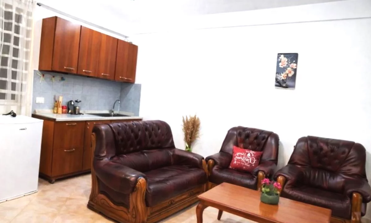 Shtepi me qera Apartament ne Tirane, 1+1, Mobilimi E mobiluar, Pagesa 460  Euro.