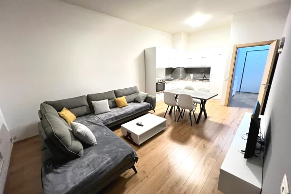 Apartment for rent in Tirana 1+1, Furnished