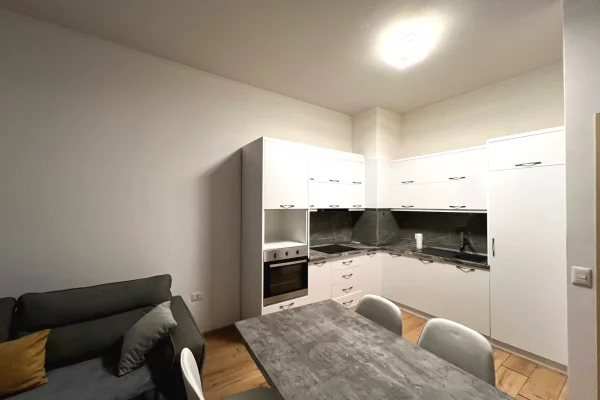 Apartment for rent in Tirana 1+1, Furnished