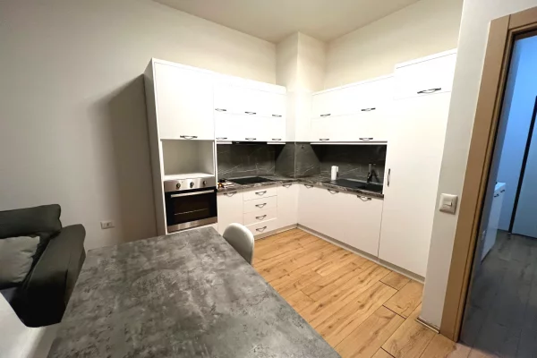 Apartment for rent in Tirana 1+1, Furnished