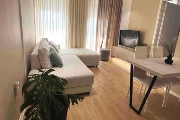 Shtepi me qera 1+1 ne Tirane - 60,000 Leke