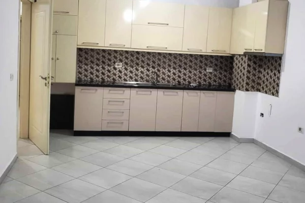 Ambient biznesi me qera 3+1 ne Tirane - 600 Euro