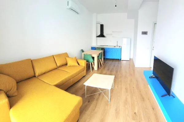 House for Rent 1+1 in Tirana - 40,000 Leke