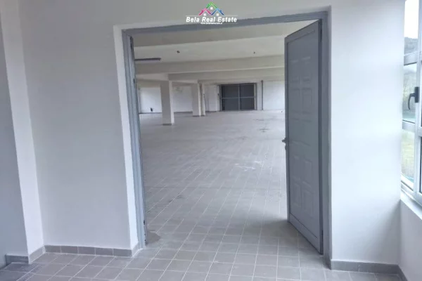 Ambient biznesi me qera 4+1 ne Tirane - 2,200 Euro