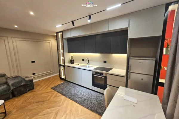 Apartment for rent in Tirana 1+1, Furnished