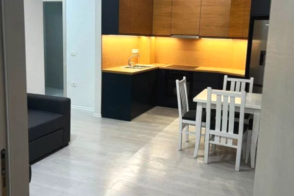 House for Rent 1+1 in Tirana - 600 Euro