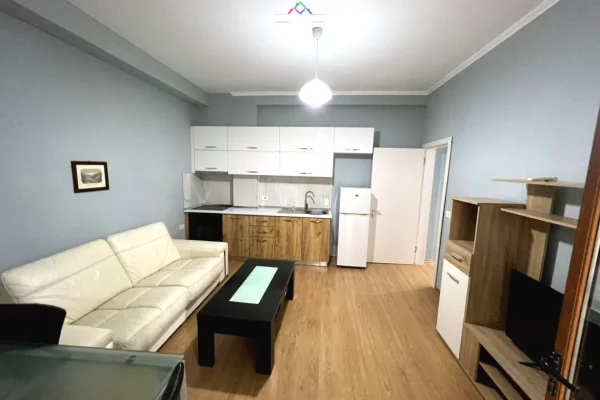 Private house for rent in Tirana 1+1, Furnished