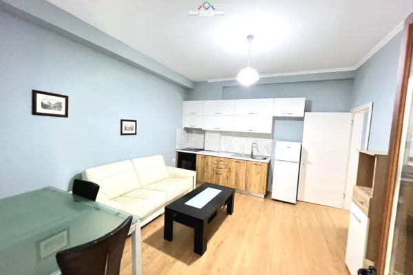 Private house for rent in Tirana 1+1, Furnished