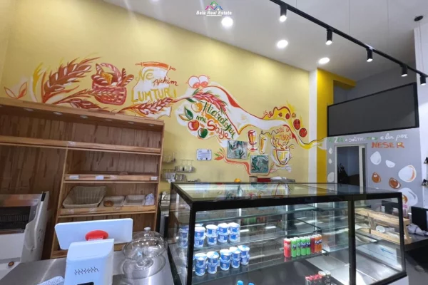 Business Property for Rent 1+1 in Tirana - 1,560 Euro