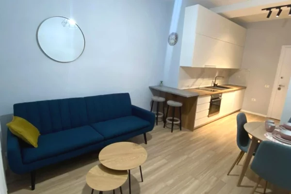 House for Rent 1+1 in Tirana - 60,000 Leke