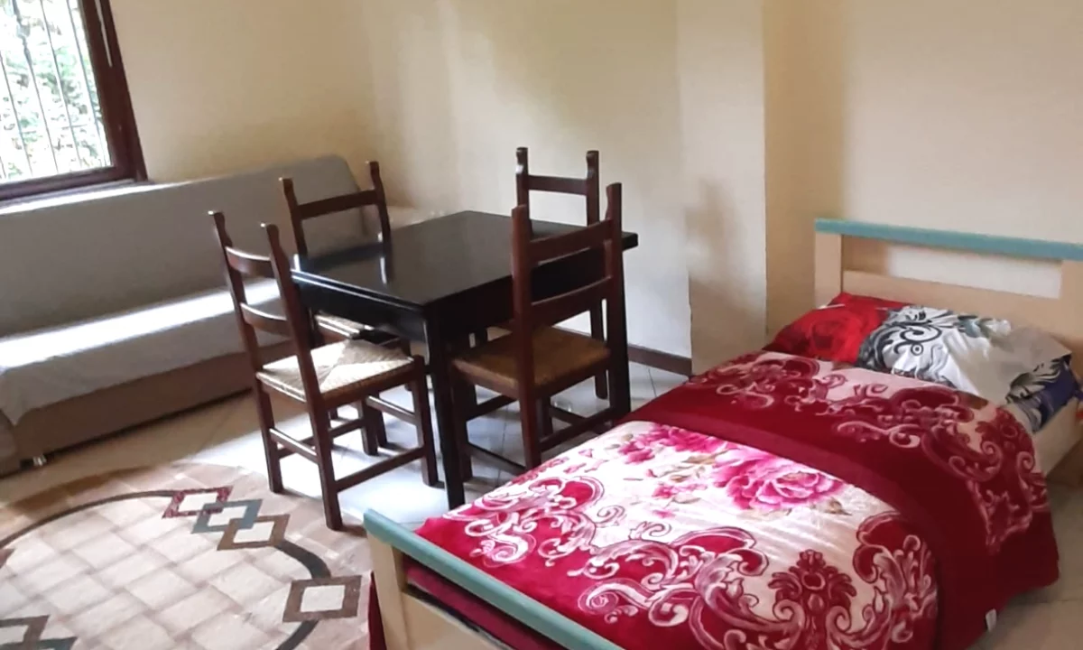 Shtepi me qera Apartament ne Tirane, Garsoniere, Mobilimi E mobiluar, Pagesa 30,000  Leke.