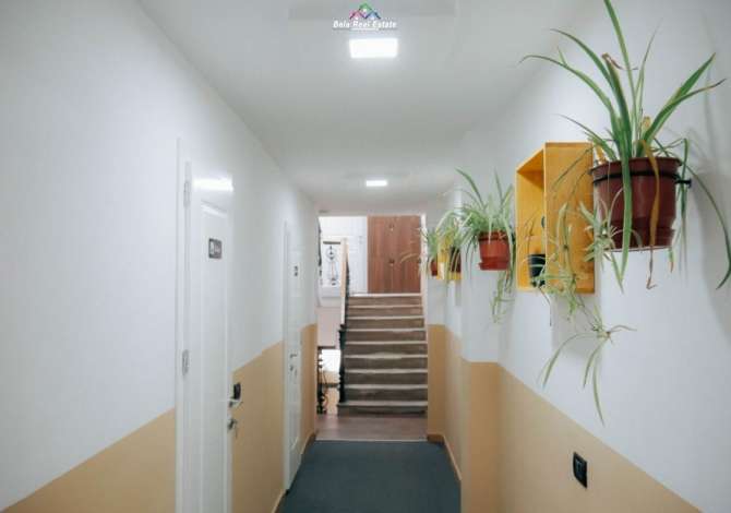 Ambient biznesi me qera 5+1 ne Tirane - 5,500 Euro