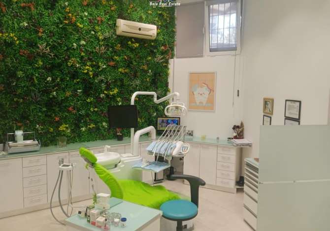 Ambient biznesi me qera 1+1 ne Tirane - 500 Euro