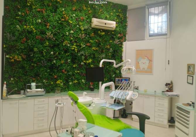 Ambjent biznesi me qera 1+1 ne Tirane - 500 Euro