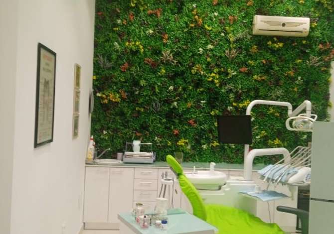 Ambjent biznesi me qera 1+1 ne Tirane - 500 Euro