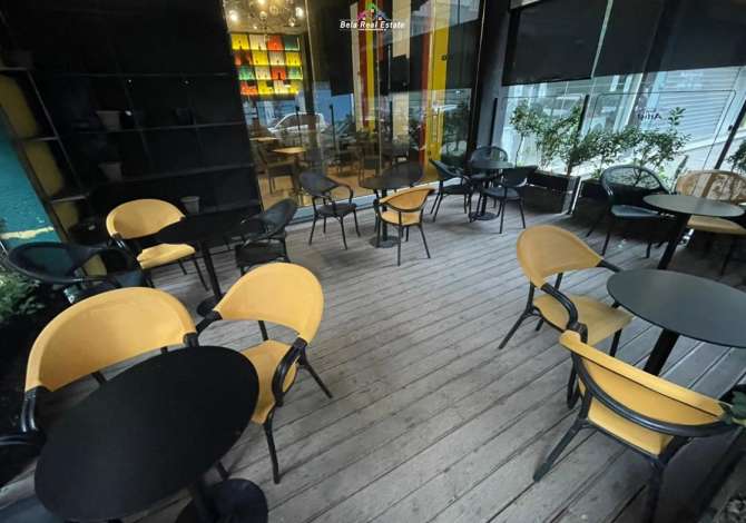 Ambient biznesi me qera 2+1 ne Tirane - 1,300 Euro