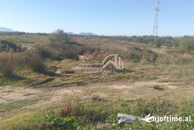 Truall ose Toke  ne Vlore - 67,000 Euro