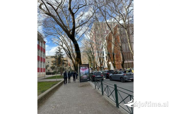 Ambient biznesi ne shitje 1+1 ne Tirane - 910,000 Euro