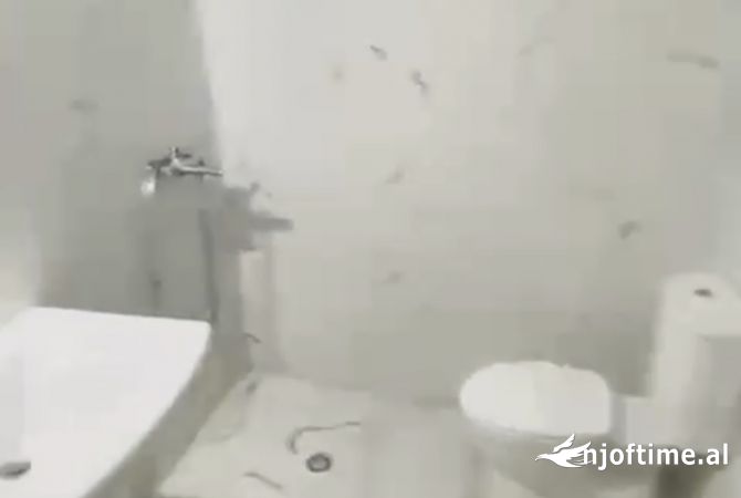 Shtepi me qera 1+1 ne Tirane - 300 Euro