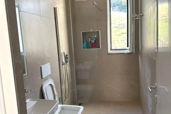 Shtepi me qera Apartament ne Tirane, 2+1, Mobilimi E mobiluar, Pagesa 450  Euro.