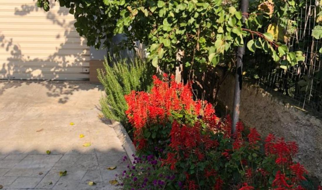 Foto 10