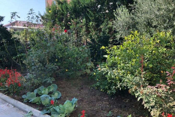 Luxury villas for sale in Tirana 4+1, Furnished