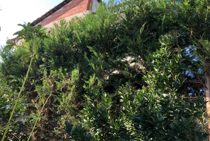 Luxury villas for sale in Tirana 4+1, Furnished