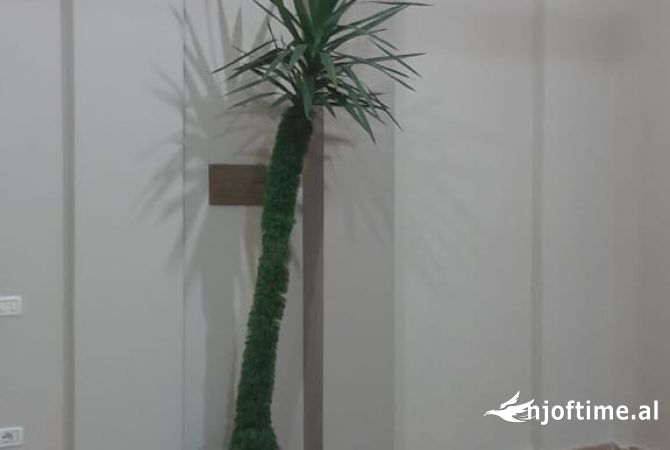 Ambient biznesi me qera 1+1 ne Tirane - 350 Euro