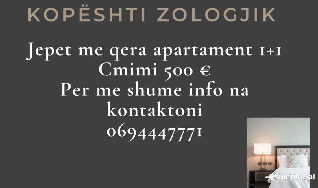 Apartment for rent in Tirana 1+1, Furnished