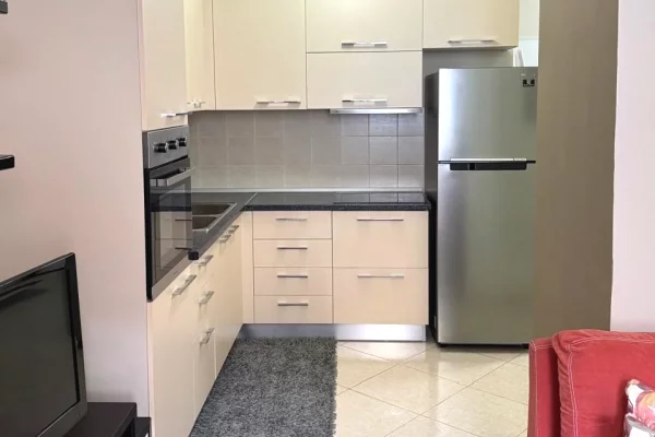 Shtepi me qera Apartament ne Tirane, 1+1, Mobilimi E mobiluar, Pagesa 380  Euro.