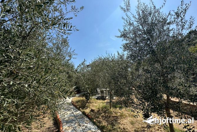 Shtepi me qera 2+1 ne Tirane - 1,500 Euro