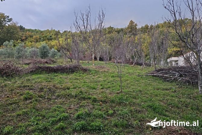 Terreno in vendita  a Tirana - 62,000 Euro