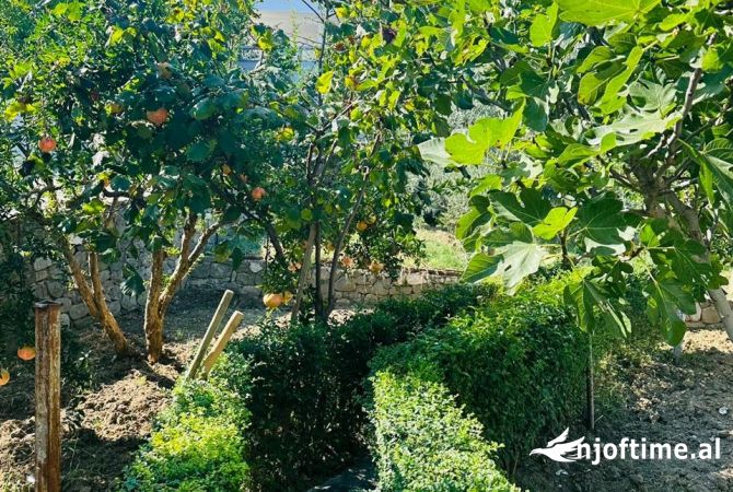 Shtepi me qera Apartament ne Tirane, 2+1, Mobilimi E mobiluar, Pagesa 550  Euro.